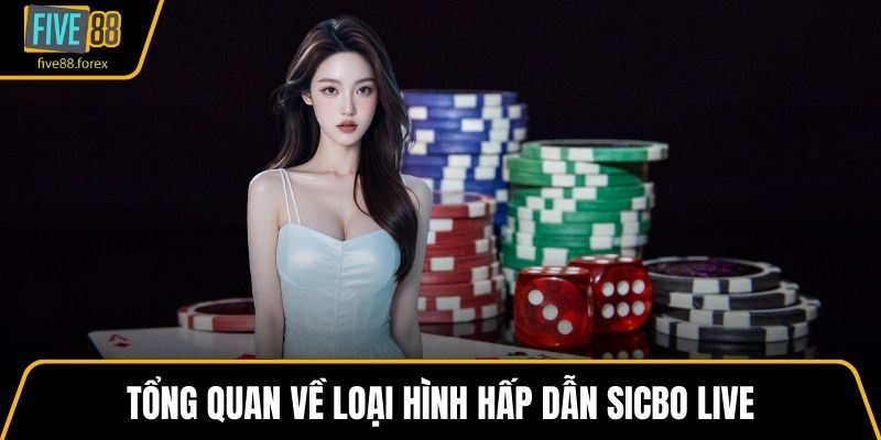 Tổng quan về loại hình hấp dẫn sicbo live